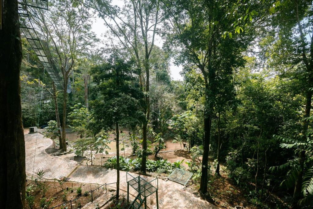 Mountain Top Park Hotel Quepos Extérieur photo