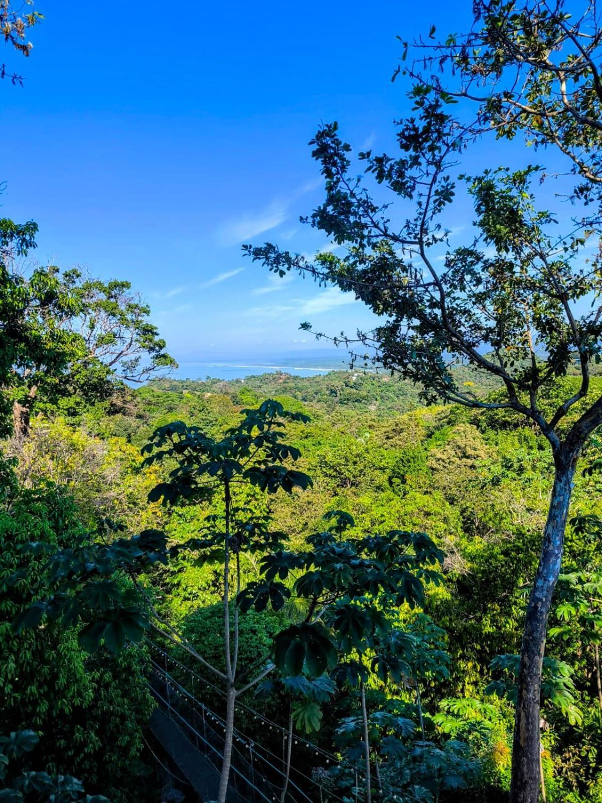 Mountain Top Park Hotel Quepos Extérieur photo