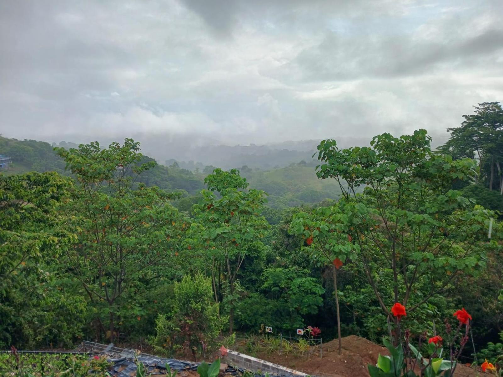 Mountain Top Park Hotel Quepos Extérieur photo